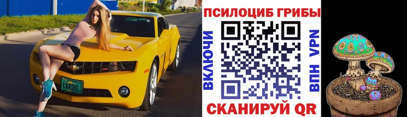 Галлюциногенные грибы MAGIC MUSHROOMS Донской